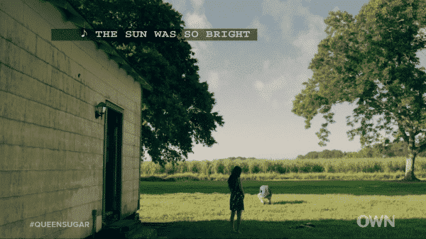 Queen Sugar Season 2 Episode 13 Heritage Darla and Ralph Angel