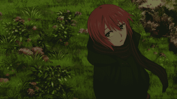 The Ancient Magus Bride Season 1 Episode 3 The Balance Distinguishes Not Between Gold And Lead Recap Review With Spoilers