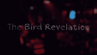 dave chappelle the bird revelation online