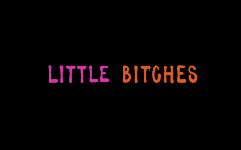 The title card for the movie Little Bitches