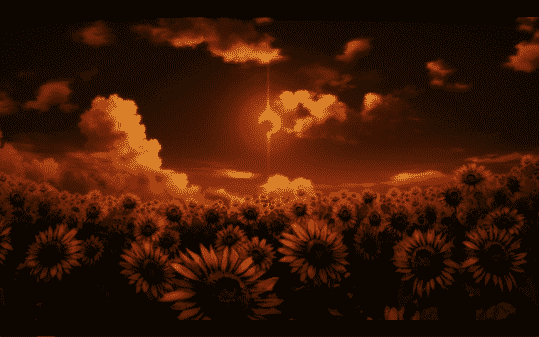 A field of flowers and an eclipse.