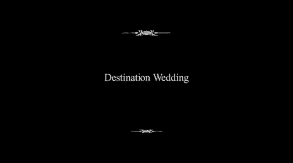 Title card for the movie, Destination Wedding.
