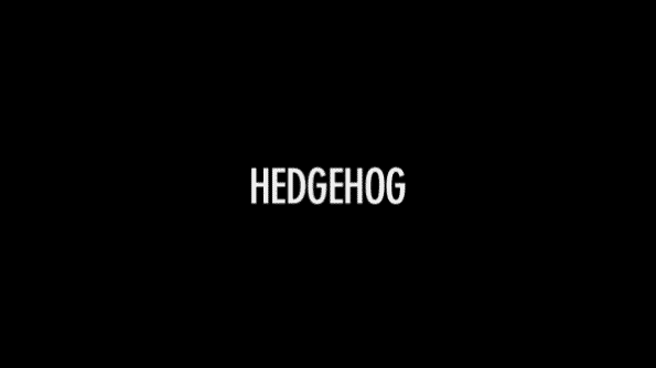 Title card for the movie Hedgehog.