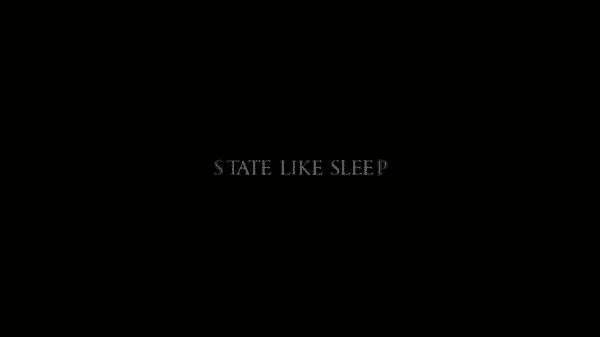 State Like Sleep – Summary/ Review (with Spoilers)