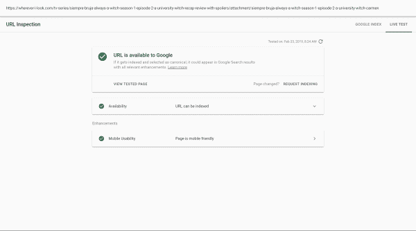 The issue being gone, and Google ready to index