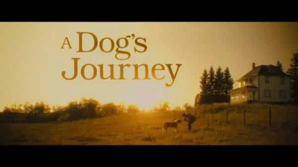 Title Card - A Dog's Journey (2019)