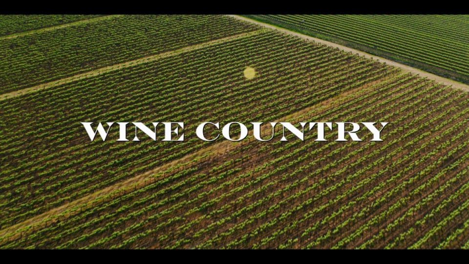 Wine Country (2019) Summary, Review (with Spoilers)