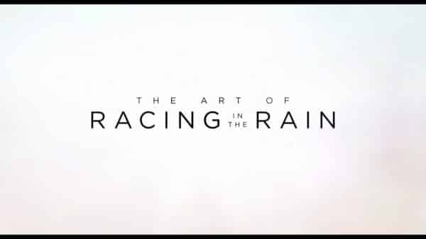 The Art Of Racing In The Rain (2019) - Summary, Review (with Spoilers)