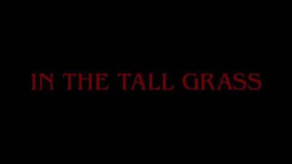 Title Card - In The Tall Grass (2019)