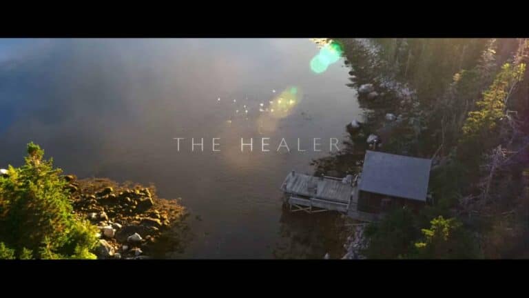 The Healer (2017) – Review/ Summary with Spoilers