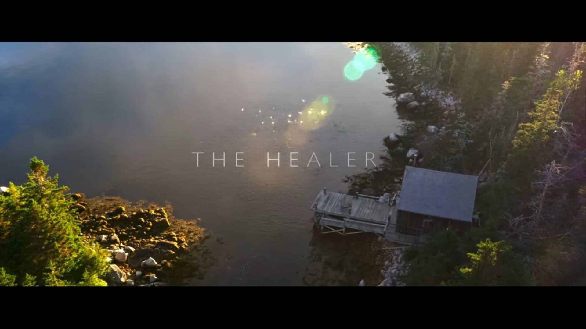 Title Card - The Healer (2017)