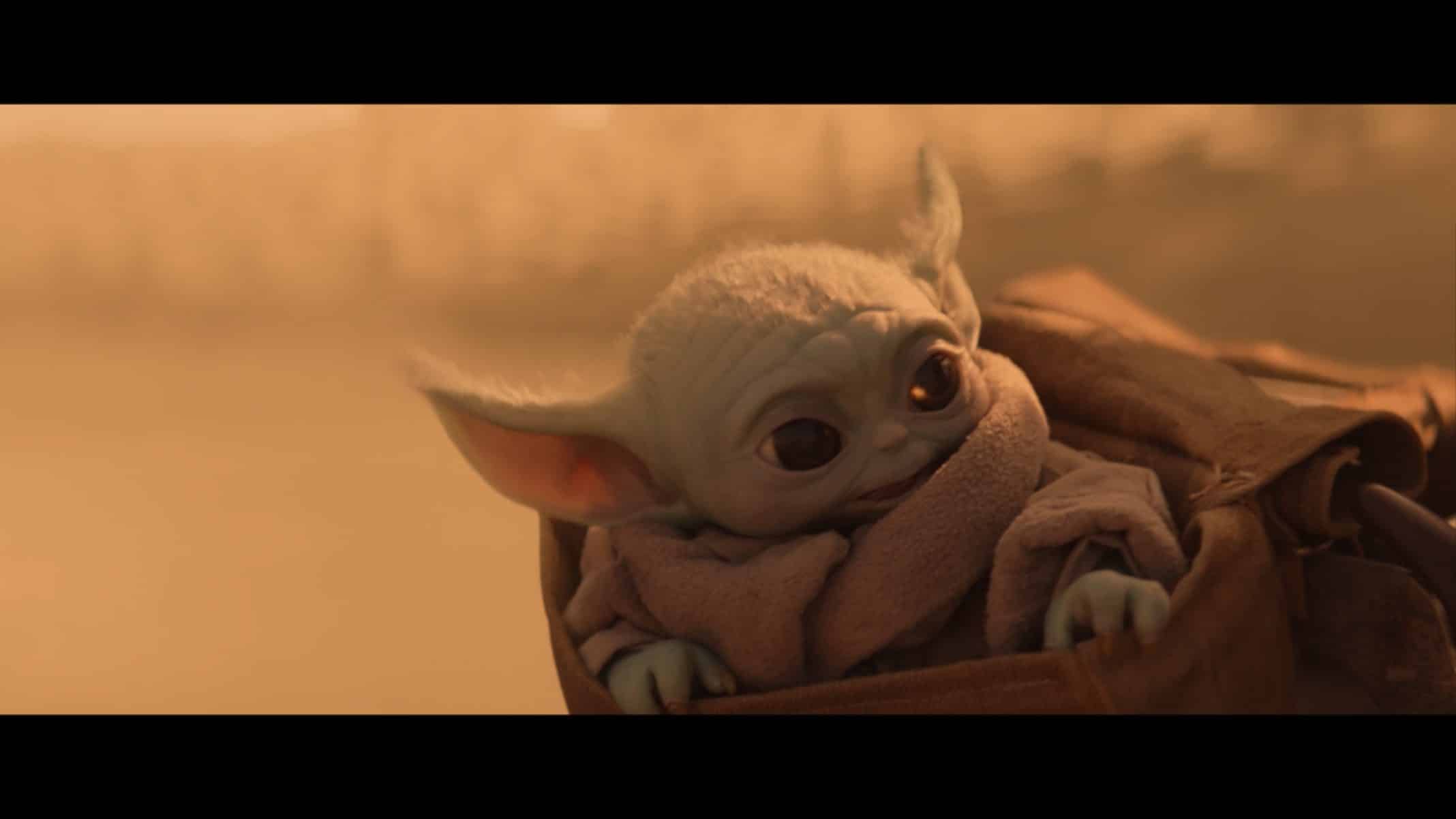 Baby Yoda riding with The Mandalorian
