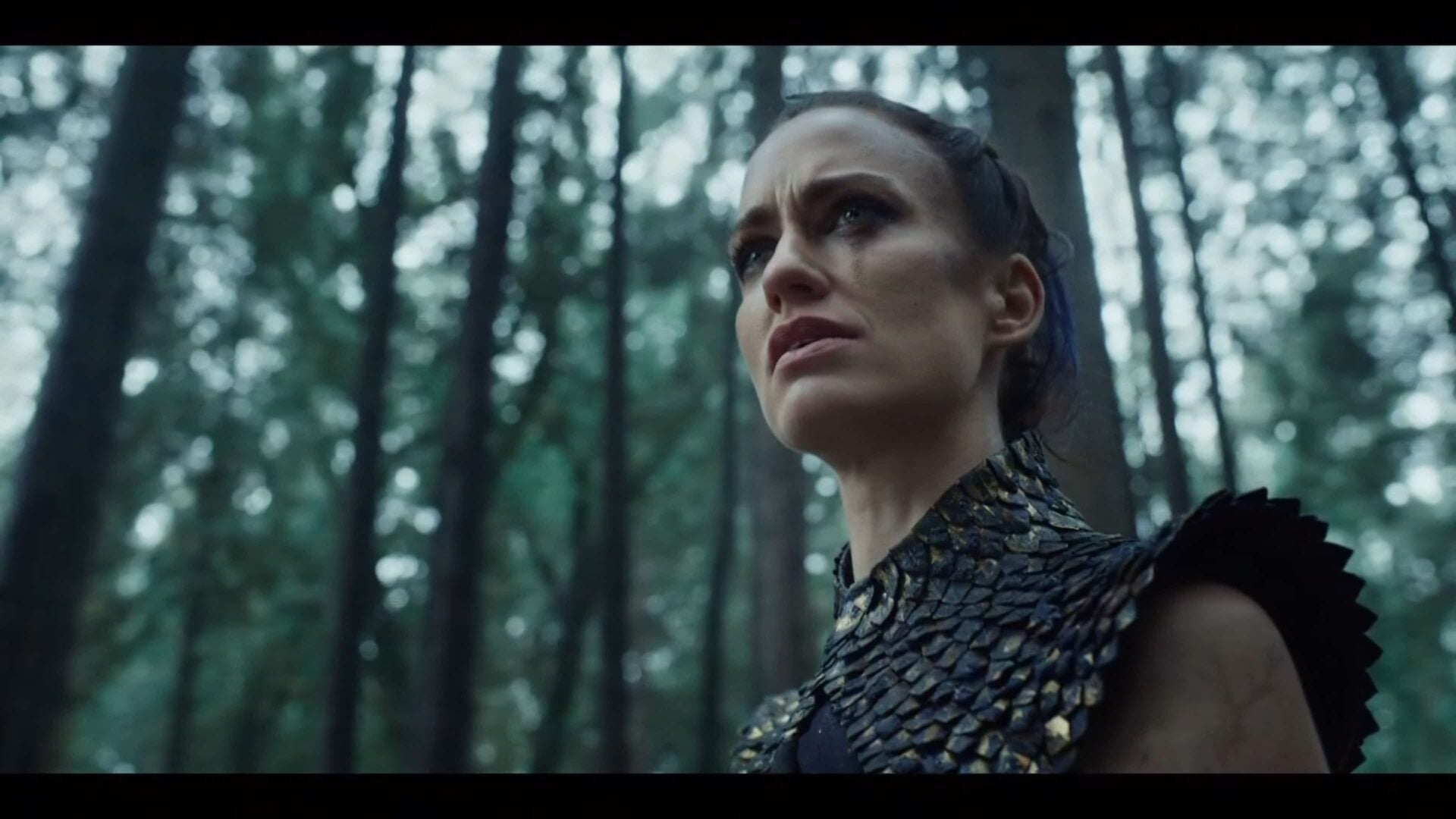 Seraphina in the woods