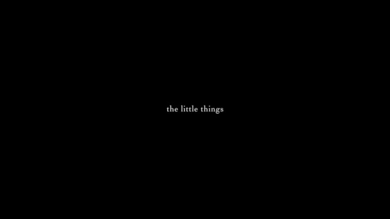 The Little Things – Review/Summary (with Spoilers)