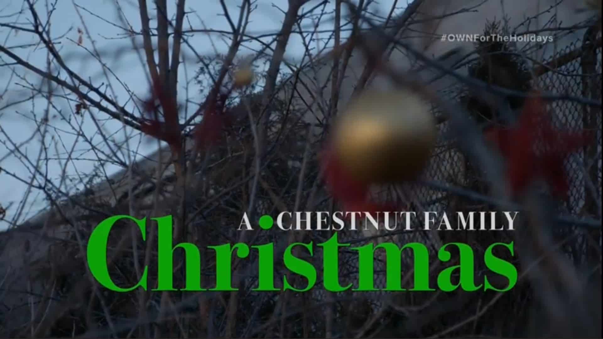Title Card - A Chestnut Family Christmas (2021)