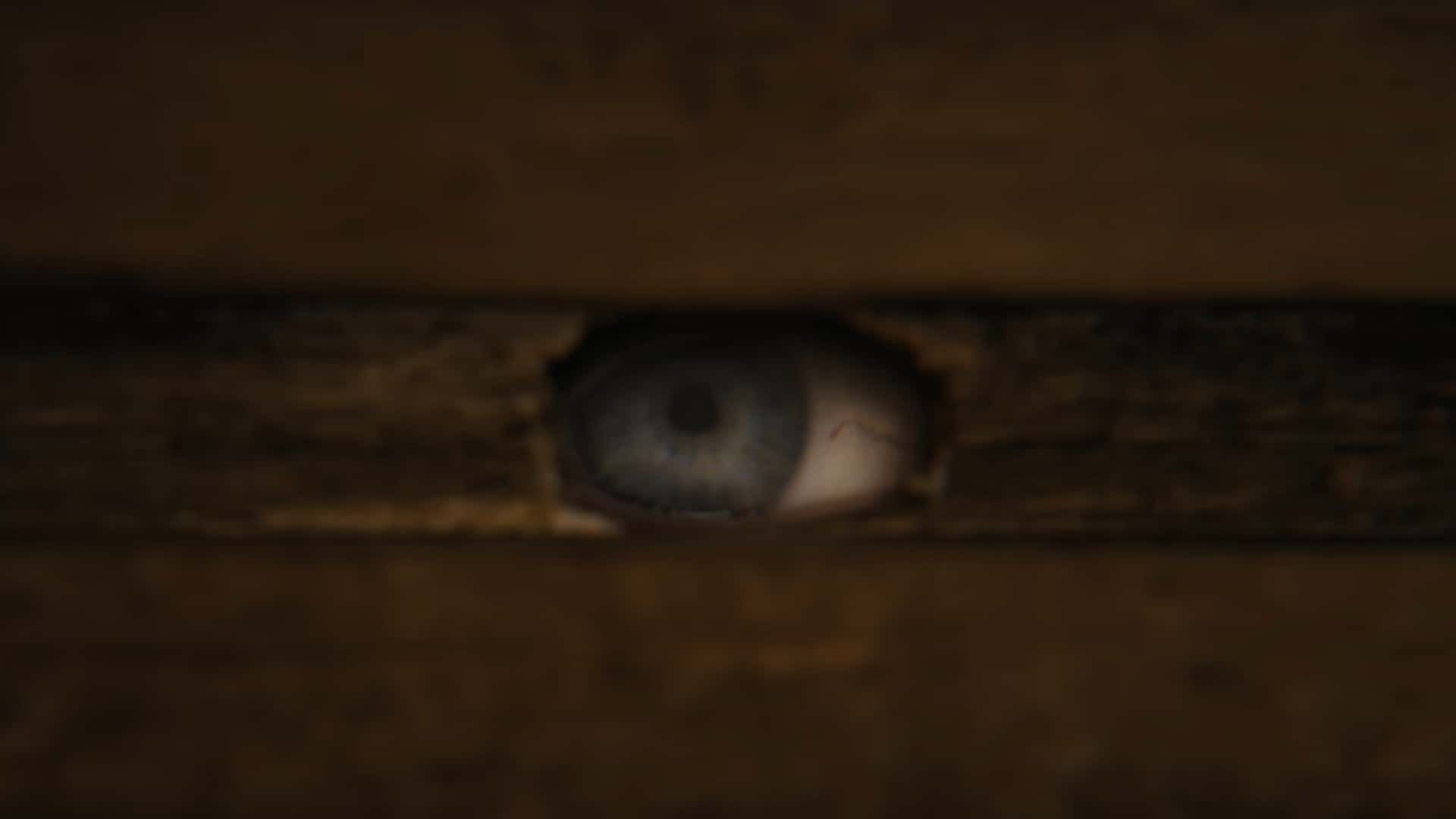 Pat's eye looking through a hole in the closet