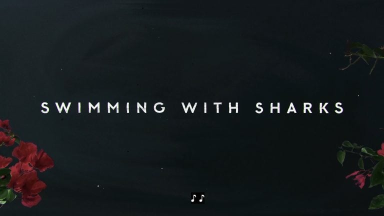 Swimming With Sharks Cast & Character Guide