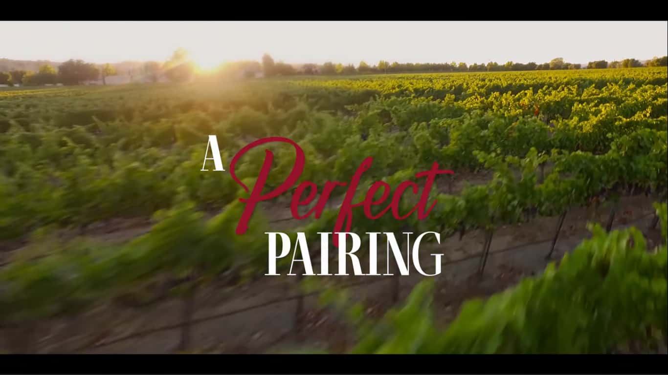 Title Card - A Perfect Pairing (2022)