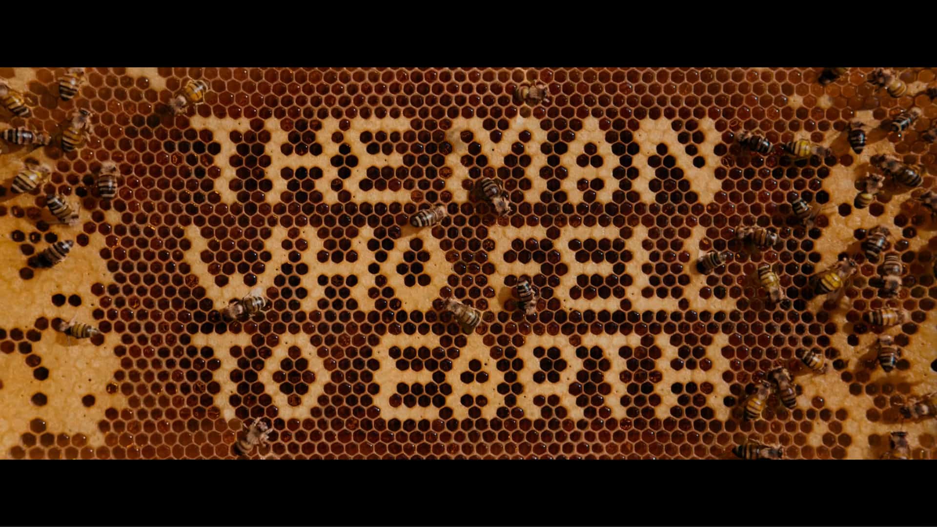 Title Card - The Man Who Fell To Earth Season 1 Episode 4 “Under Pressure”