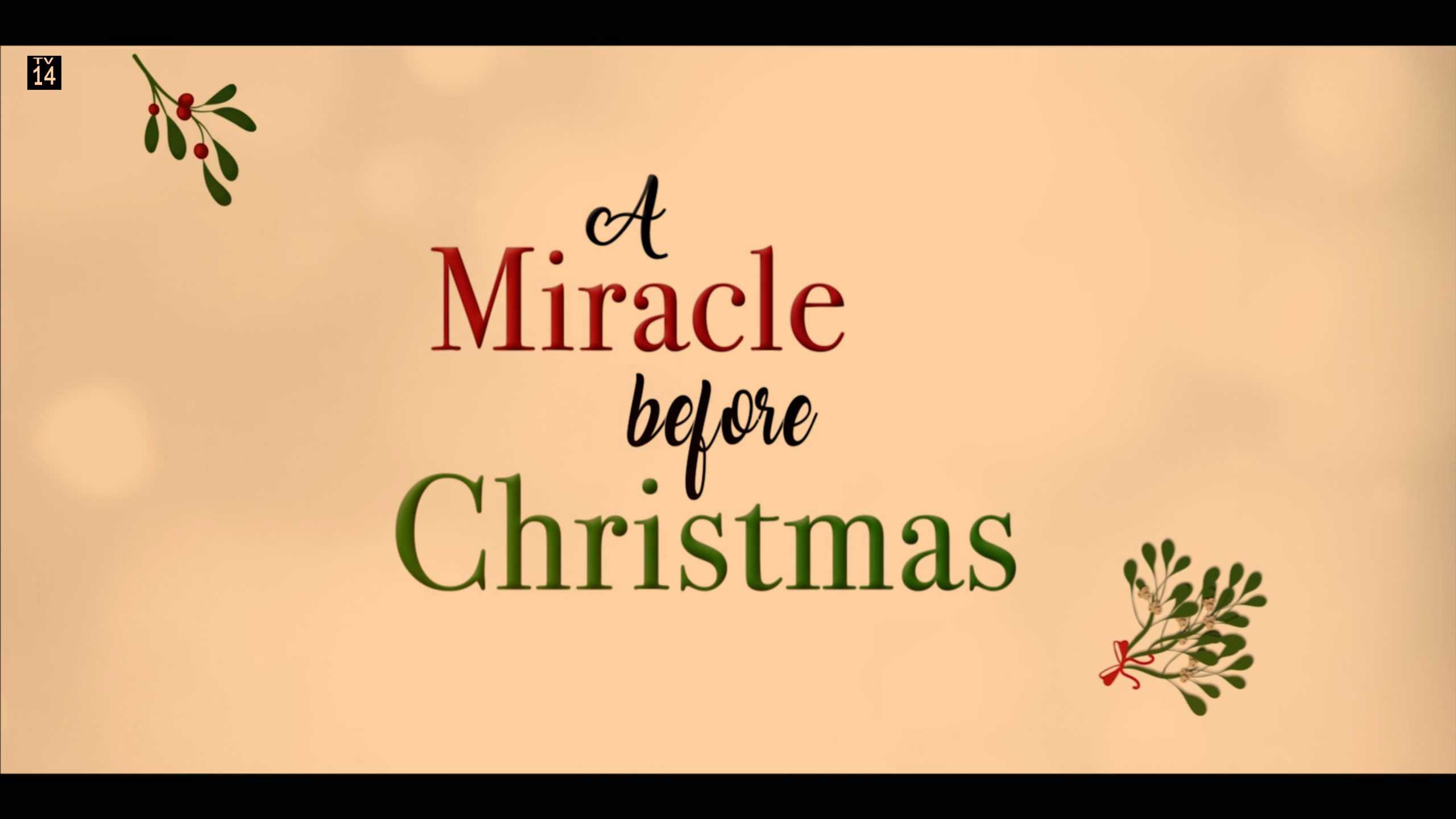 دانلود زیرنویس فیلم A Miracle Before Christmas 2022 - بلو سابتایتل