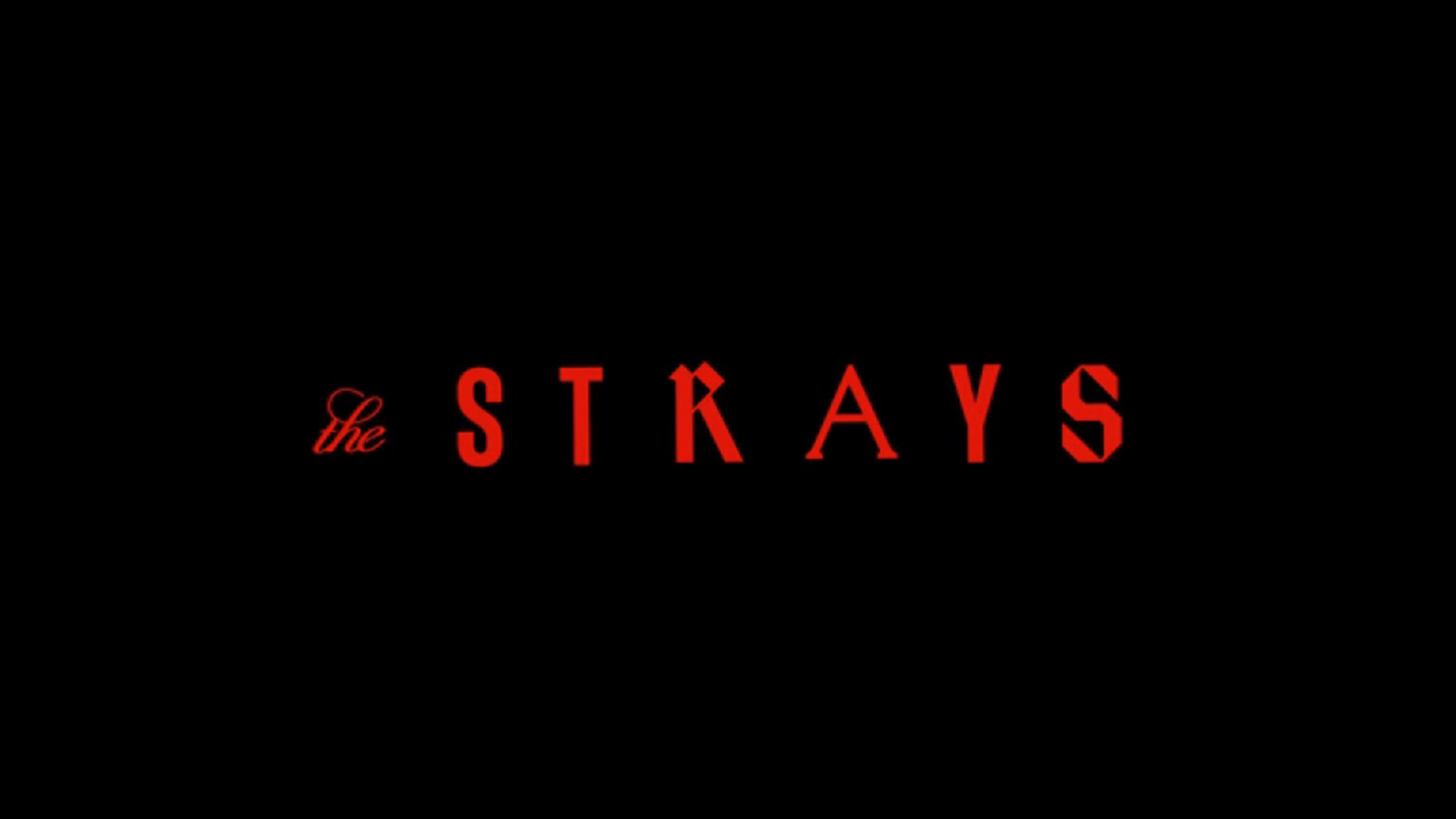 The Strays (2023) Review/ Summary