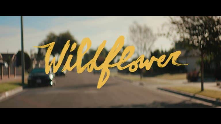 Wildflower (2023) – Review/ Summary (with Spoilers)