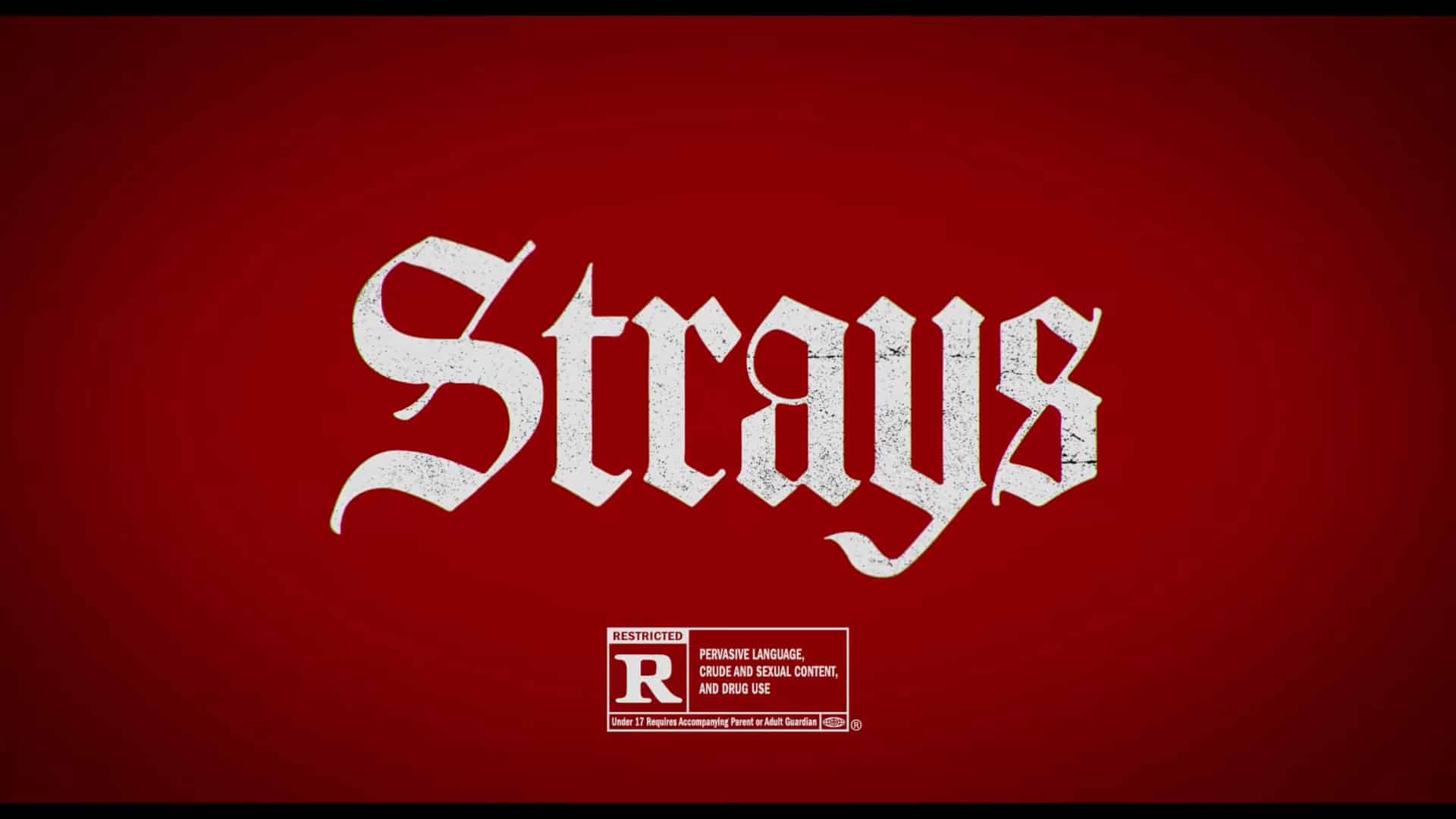 Title Card - Strays