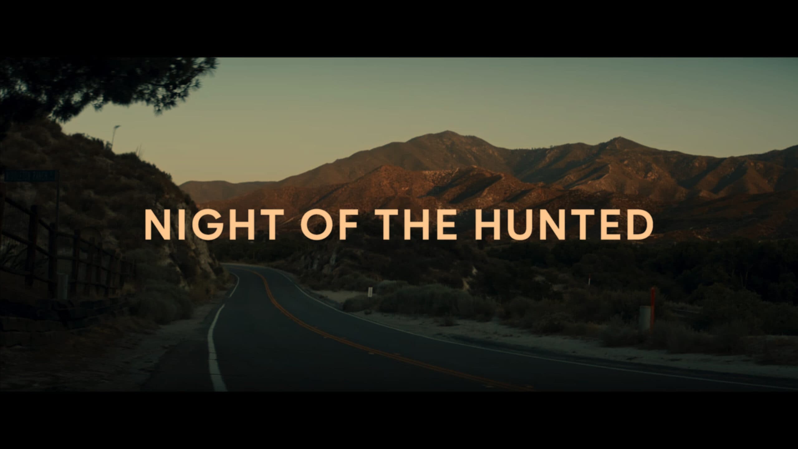 Night Of The Hunted (2023) Review And Summary