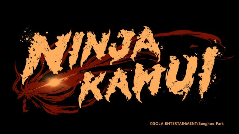 Ninja Kamui: Character Guide and Noteworthy Information