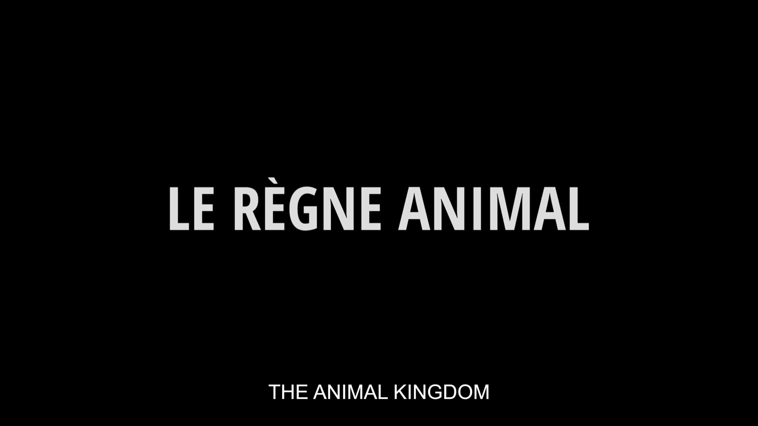 Title Card The Animal Kingdom Le Regne Animal directed by Thomas Cailley 2024 Magnolia Pictures scaled