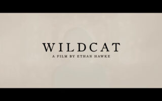 Title Card, Wildcat