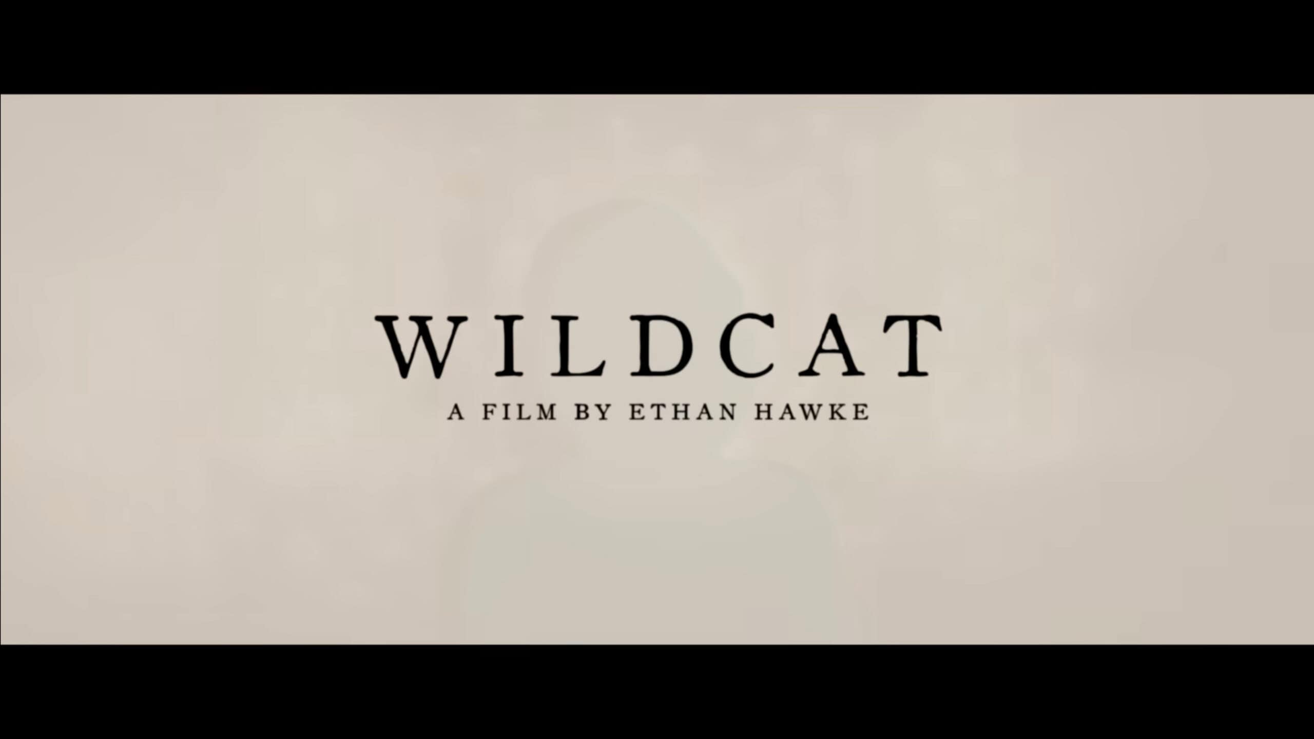 Title Card, Wildcat