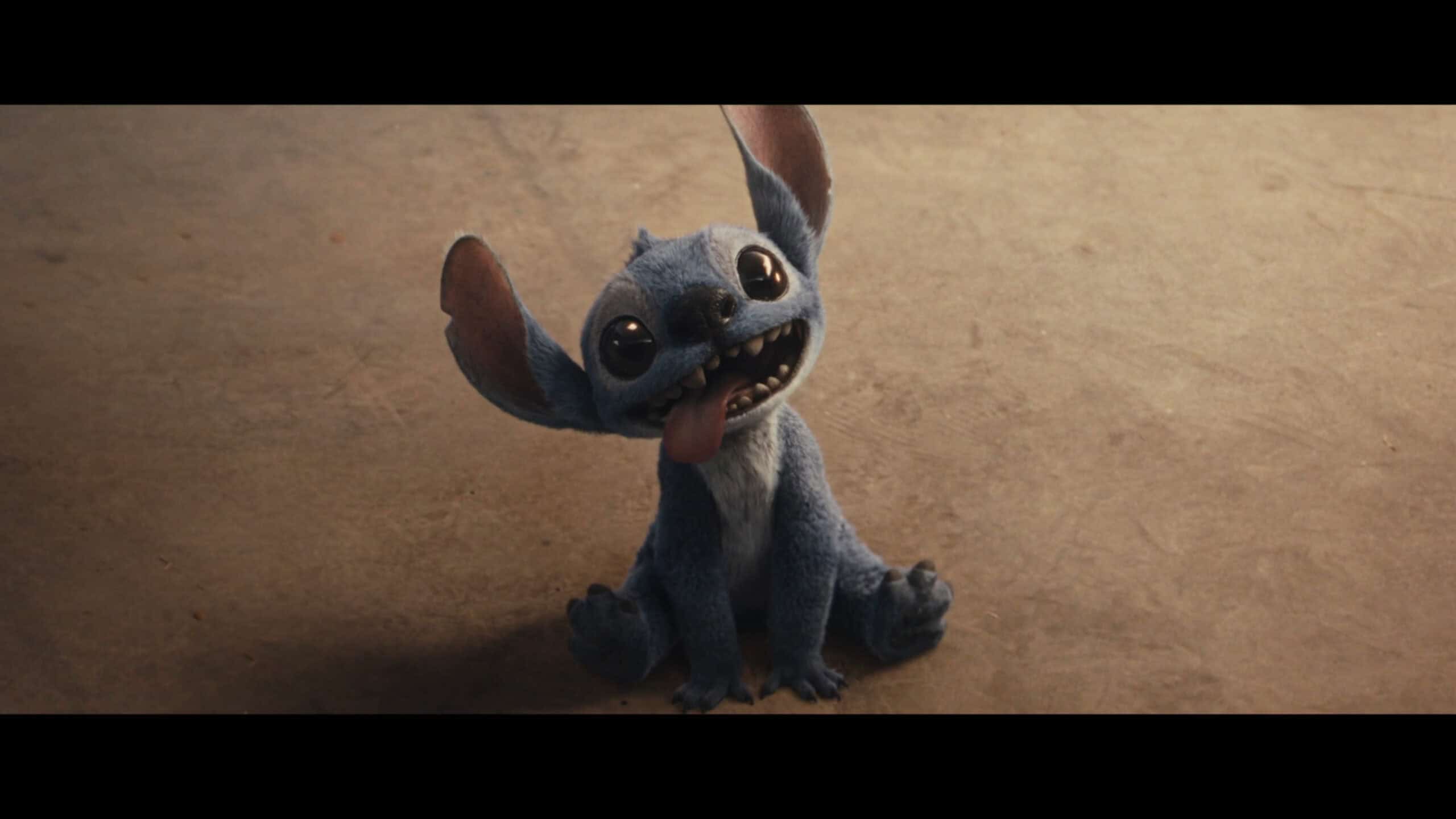 | Stitch Chris Sanders – Lilo and Stitch 22 scaled