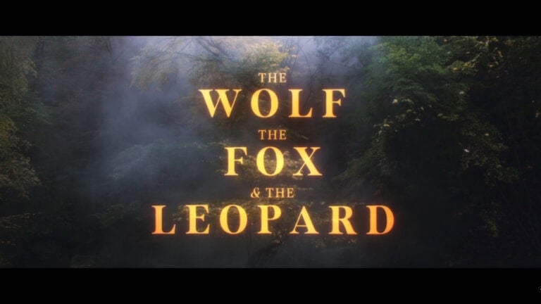 The Wolf, the Fox and the Leopard (Tribeca 2025) Review & Summary | Title Card – The Wolf the Fox and the Leopard Source Movie Trailer 2 The Wolf, the Fox and the Leopard (Tribeca 2025) Review & Summary