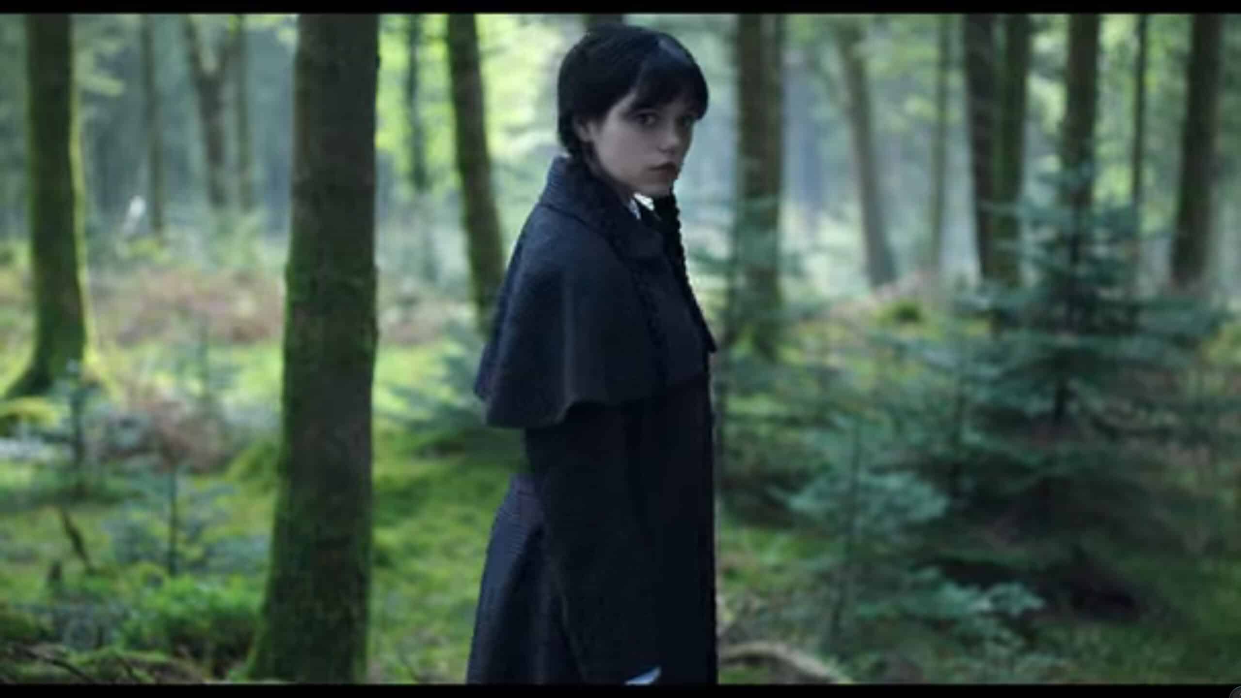 Wednesday in the woods, learning of a murder - Wednesday 2.1