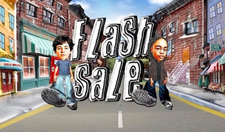 Flash Sale – Review and Summary
