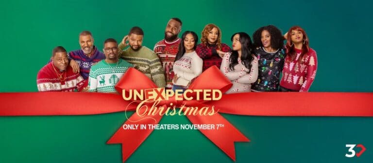 Unexpected Christmas – Review and Summary
