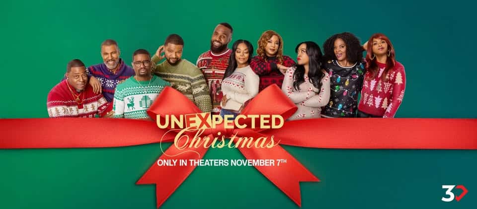 Unexpected Christmas – Review and Summary